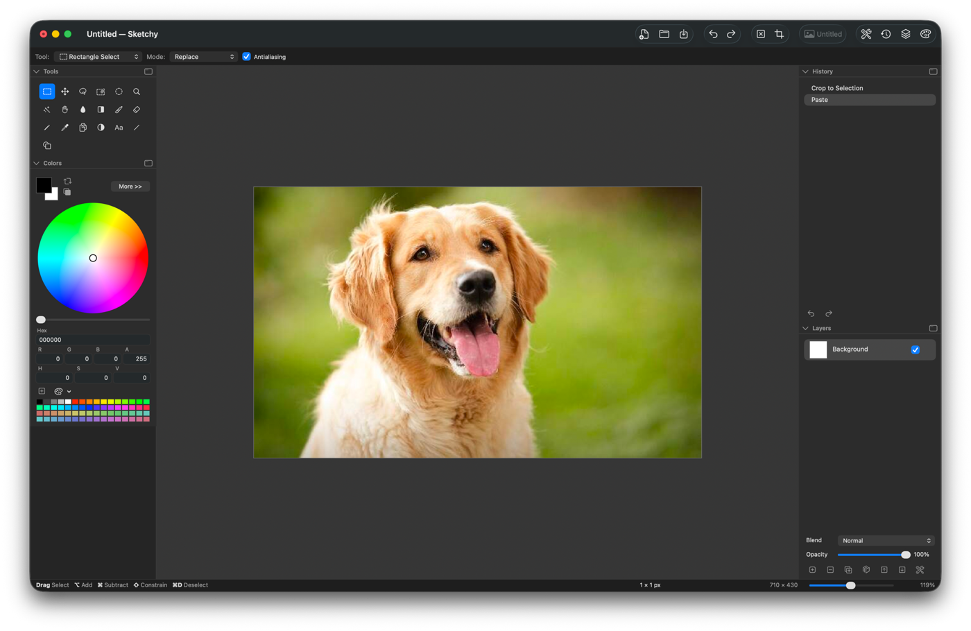 Sketchy editing a photograph of a dog, with the Tools and Colors palettes docked on the left and History and Layers on the right
